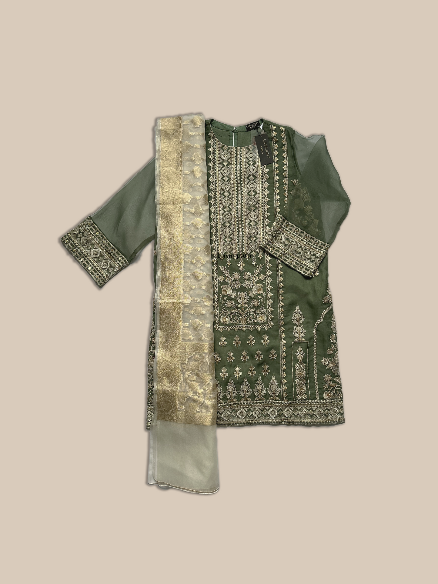 Green Embroidered Organza Suit