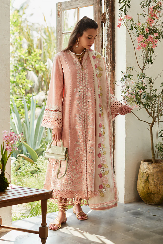 Embroidered Lawn Suit
