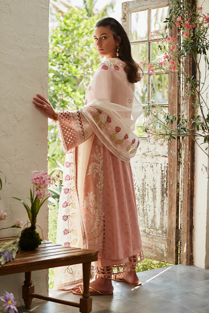 Embroidered Lawn Suit