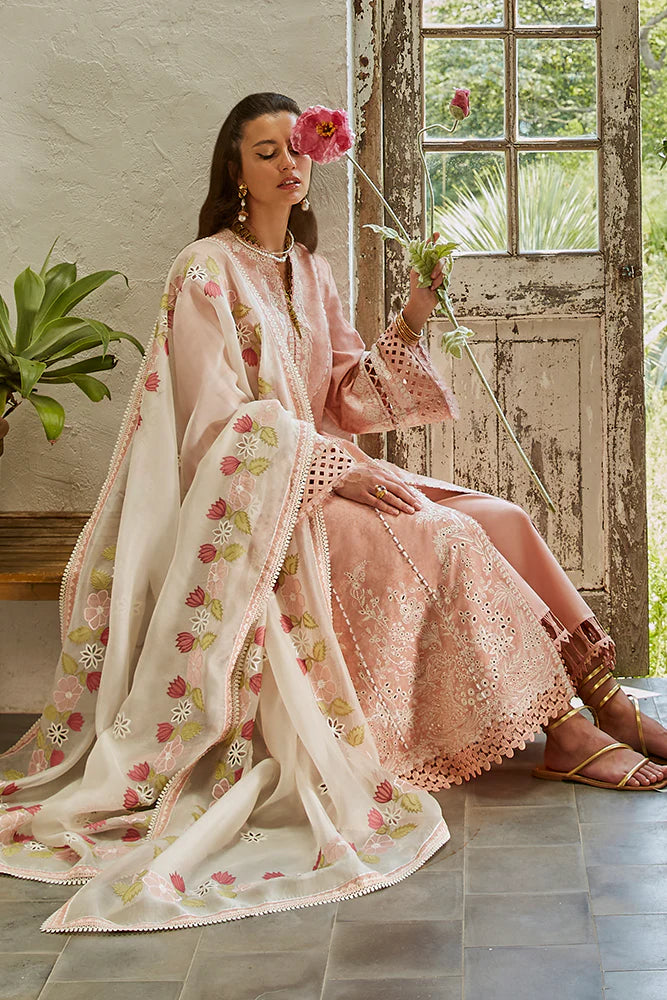 Embroidered Lawn Suit