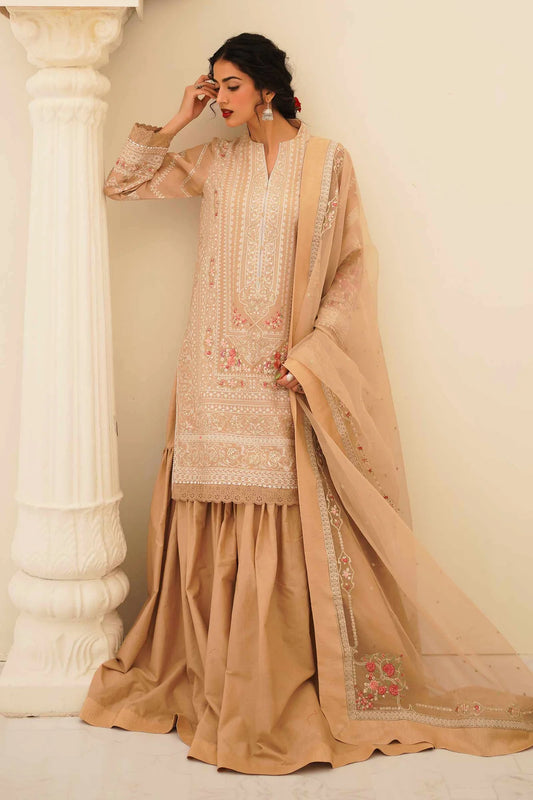 Beige Embroidered Suit
