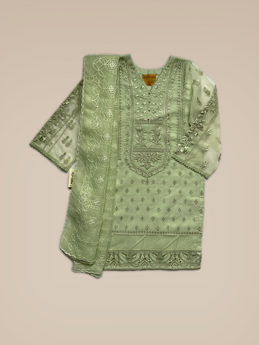 Sage Green Embroidered Organza Suit
